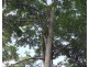 Proposed Lot 11 Boyett Road, Mission Beach QLD 4852