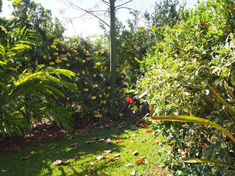 1D Royal Palm Drive, Mission Beach QLD 4852