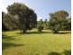 431 East Feluga Road, East Feluga QLD 4854