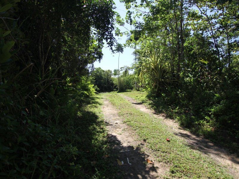 34 (Lot 7) Mountain View Close, Maria Creeks QLD 4855