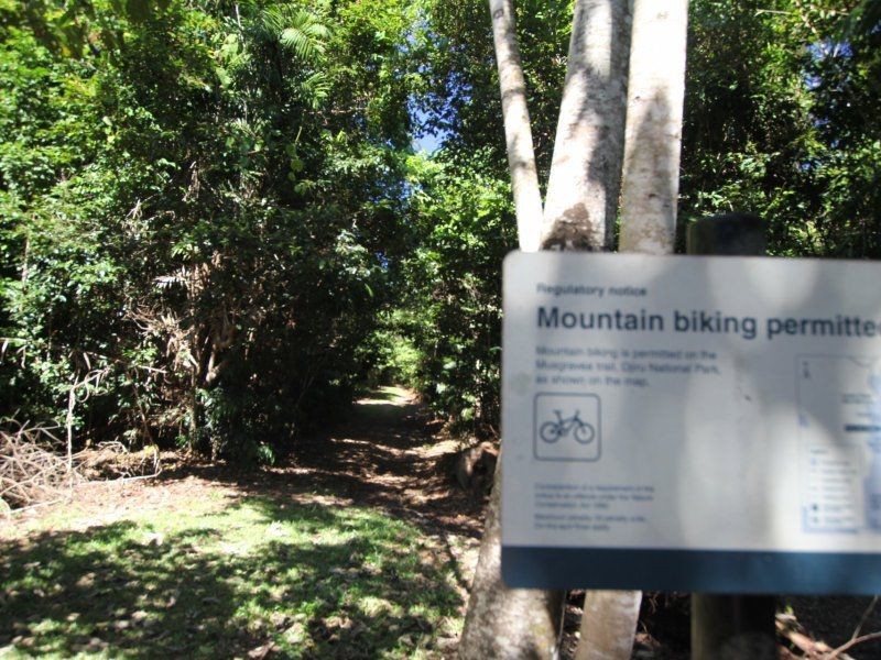 34 (Lot 7) Mountain View Close, Maria Creeks QLD 4855