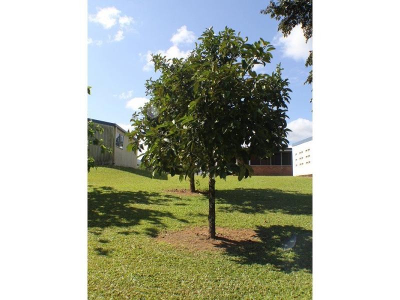 202 Bulgun Road, Bulgun QLD 4854