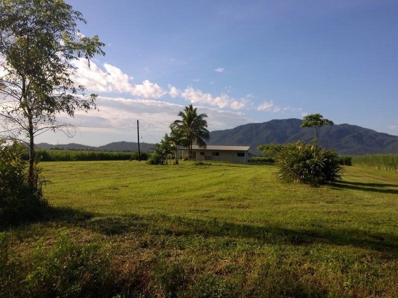 86 East Feluga Road, East Feluga QLD 4854