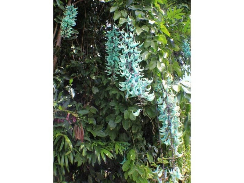 L2 Seres Road, Mena Creek QLD 4871