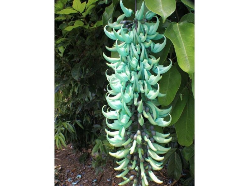 L2 Seres Road, Mena Creek QLD 4871