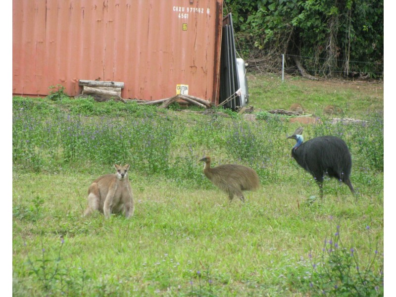 33 Jackey Jackey Street, South Mission Beach QLD 4852