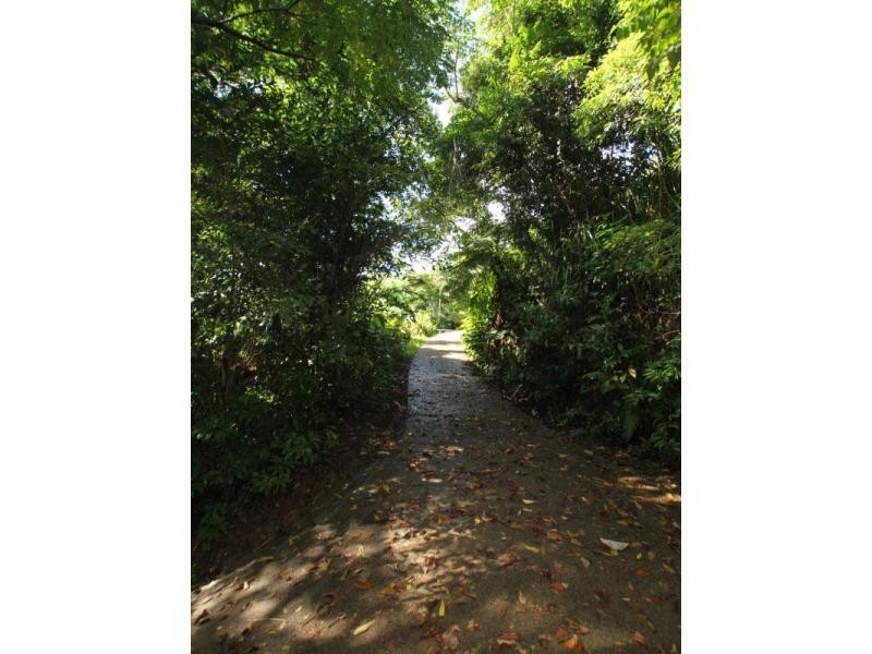 23 Bicton Close, Bingil Bay QLD 4852