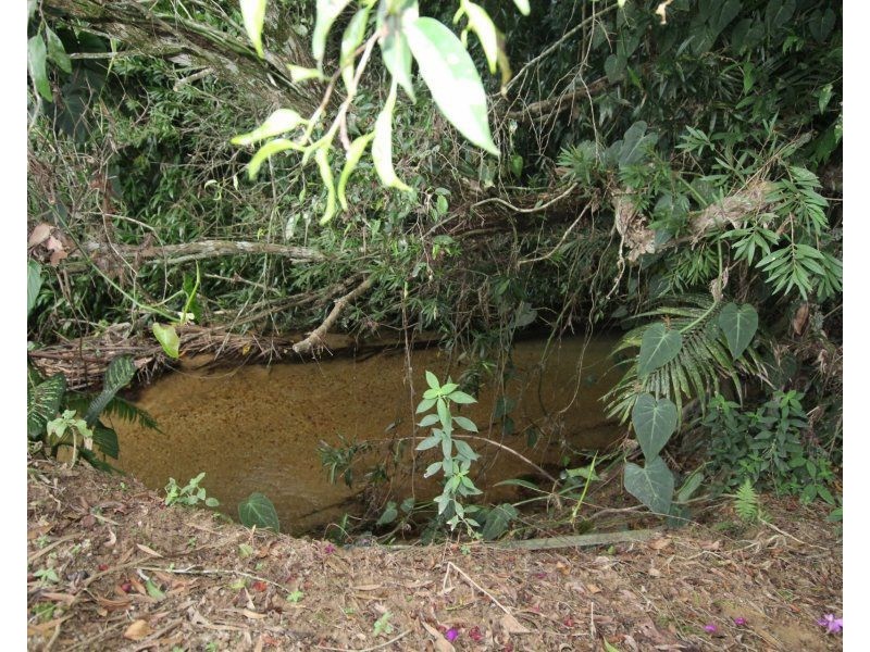 85B Feluga Road, Feluga QLD 4854