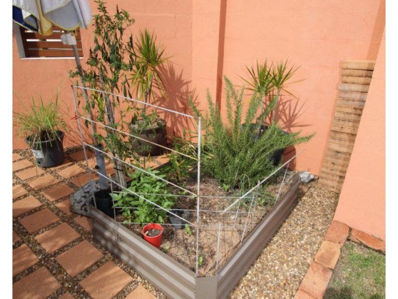 2/6 Hilliar Street, Wongaling Beach QLD 4852