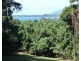 14 Plantation Drive, Bingil Bay QLD 4852