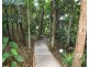14 Plantation Drive, Bingil Bay QLD 4852