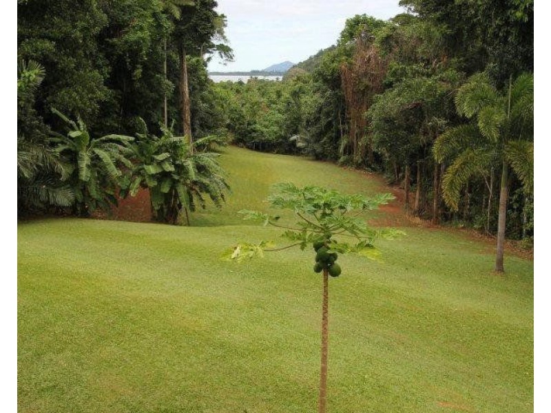 14 Plantation Drive, Bingil Bay QLD 4852