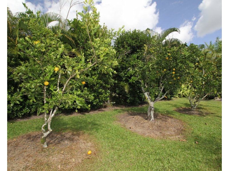 21 Merryburn Drive, Merryburn QLD 4854