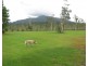 856 East Feluga Road, East Feluga QLD 4854