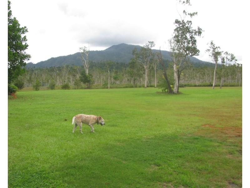 856 East Feluga Road, East Feluga QLD 4854