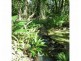 856 East Feluga Road, East Feluga QLD 4854