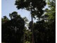 Lot 1 Pacific View Drive, Wongaling Beach QLD 4852