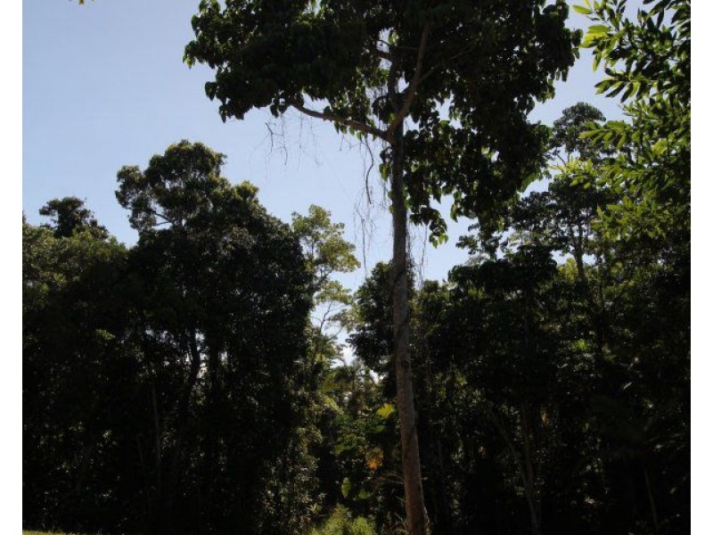 Lot 1 Pacific View Drive, Wongaling Beach QLD 4852