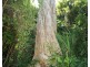Lot 2 Pacific View Drive, Wongaling Beach QLD 4852