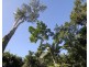 Lot 2 Pacific View Drive, Wongaling Beach QLD 4852