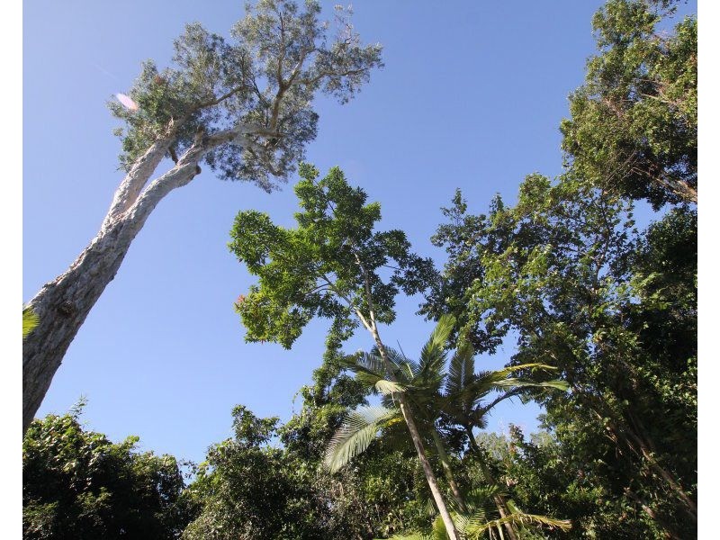 Lot 2 Pacific View Drive, Wongaling Beach QLD 4852