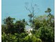550 Etty Bay Road, Etty Bay QLD 4858
