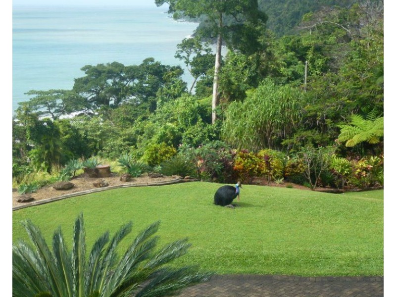 550 Etty Bay Road, Etty Bay QLD 4858