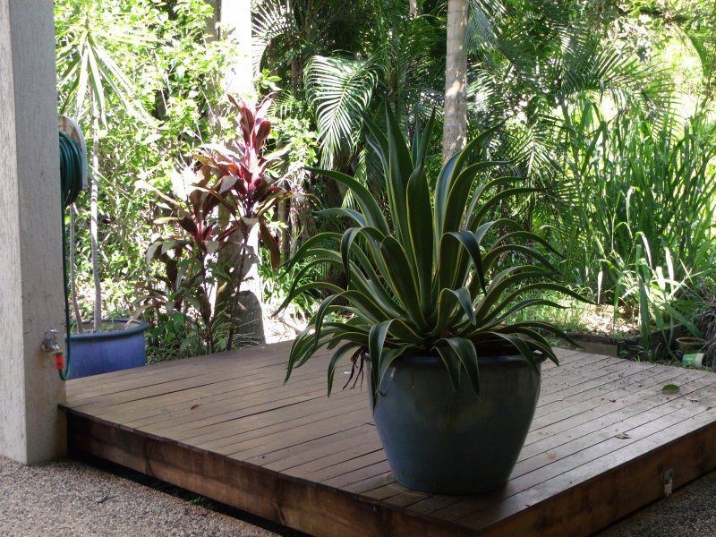 7/10 Cassowary Drive, Wongaling Beach QLD 4852