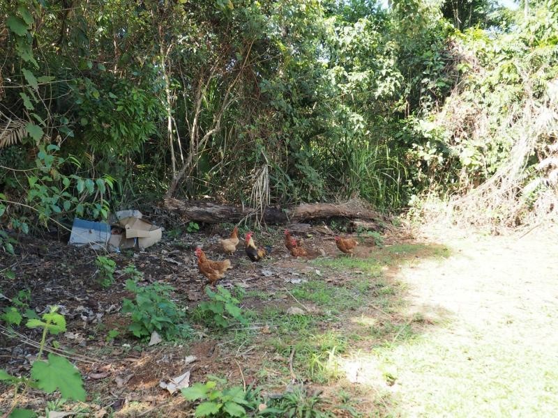 19 Kode Road, Carmoo QLD 4852