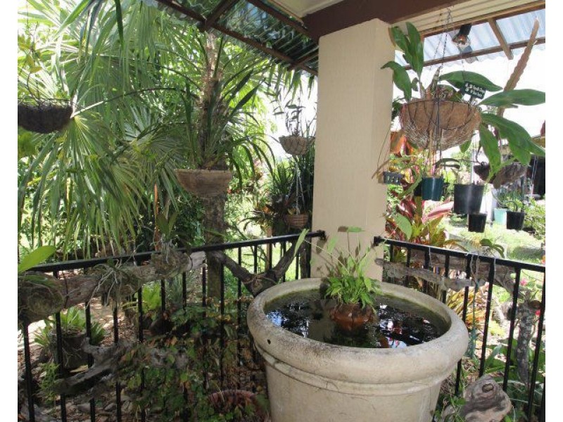 29 Royston Street, El Arish QLD 4855