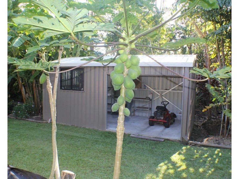770 East Feluga Road, East Feluga QLD 4854