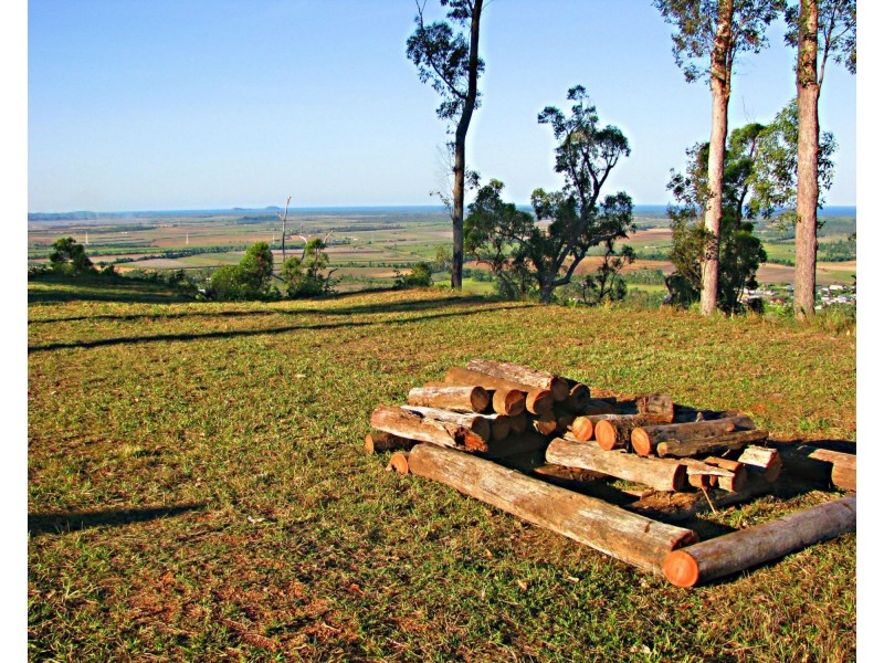 Shell Pocket QLD 4855