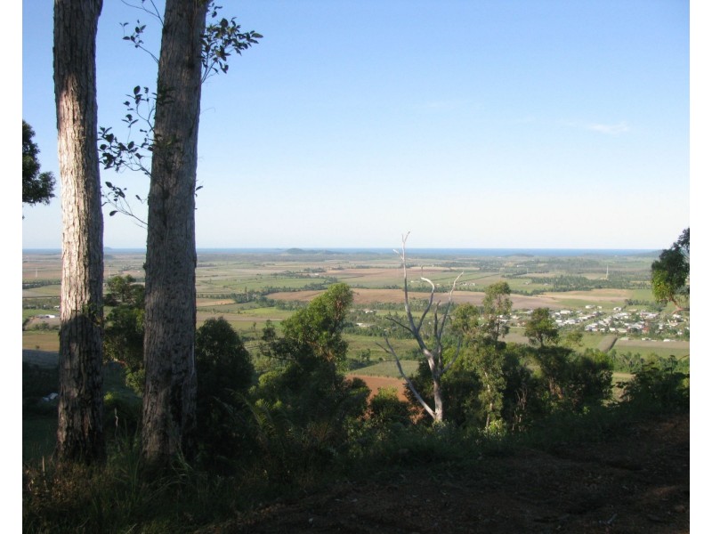 Shell Pocket QLD 4855