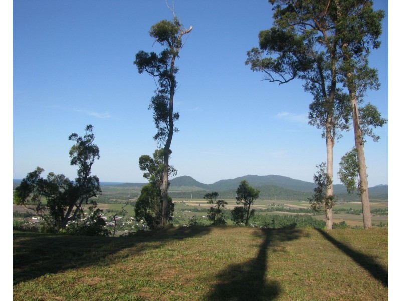 Shell Pocket QLD 4855