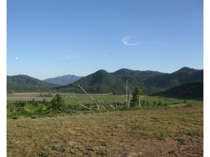 Shell Pocket QLD 4855