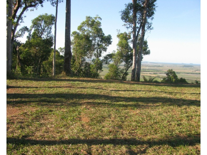 Shell Pocket QLD 4855