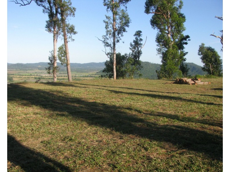 Shell Pocket QLD 4855