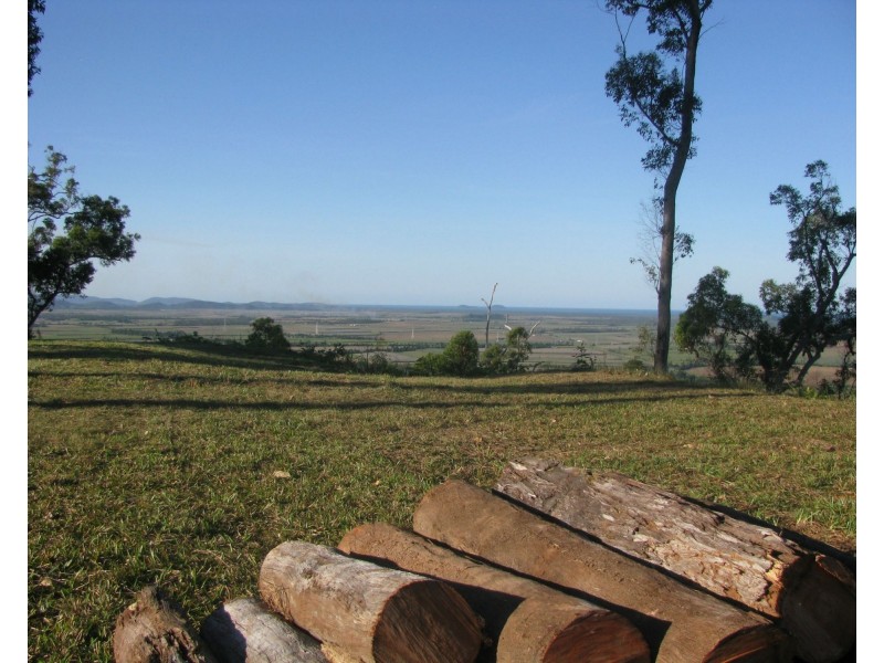 Shell Pocket QLD 4855