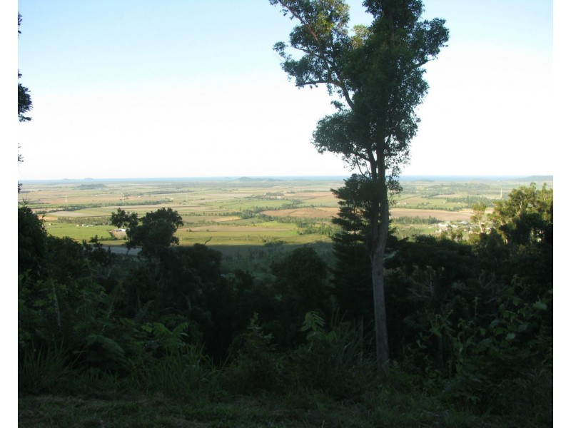 Shell Pocket QLD 4855