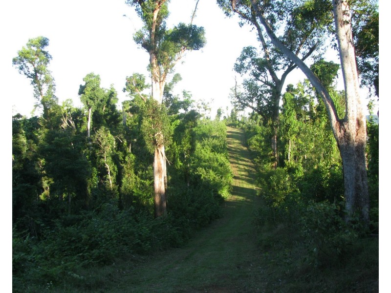 Shell Pocket QLD 4855