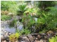 44 Dargin Road, Maria Creeks QLD 4855