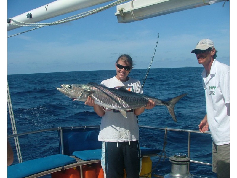 1 Seaview Crescent, Wongaling Beach QLD 4852