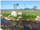 L1-14 Banfield Parade, Wongaling Beach QLD 4852