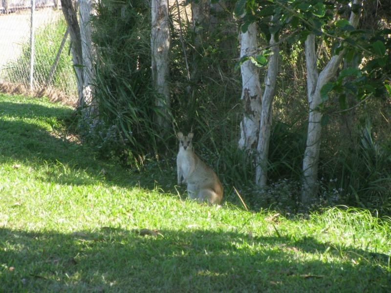 L4-14 Banfield Parade, Wongaling Beach QLD 4852