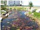 L4-14 Banfield Parade, Wongaling Beach QLD 4852