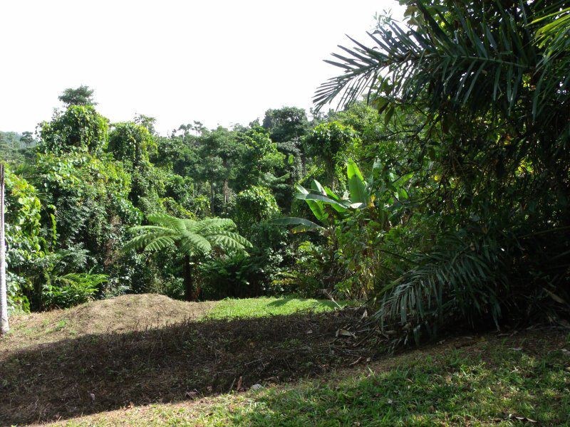 5/627 Bingil Bay Road, Bingil Bay QLD 4852