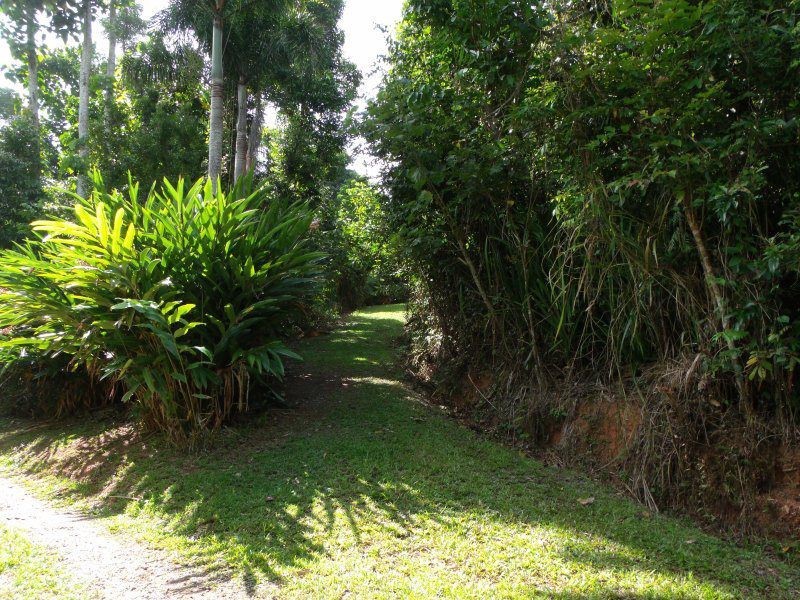 5/627 Bingil Bay Road, Bingil Bay QLD 4852