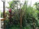 431 East Feluga Road, East Feluga QLD 4854