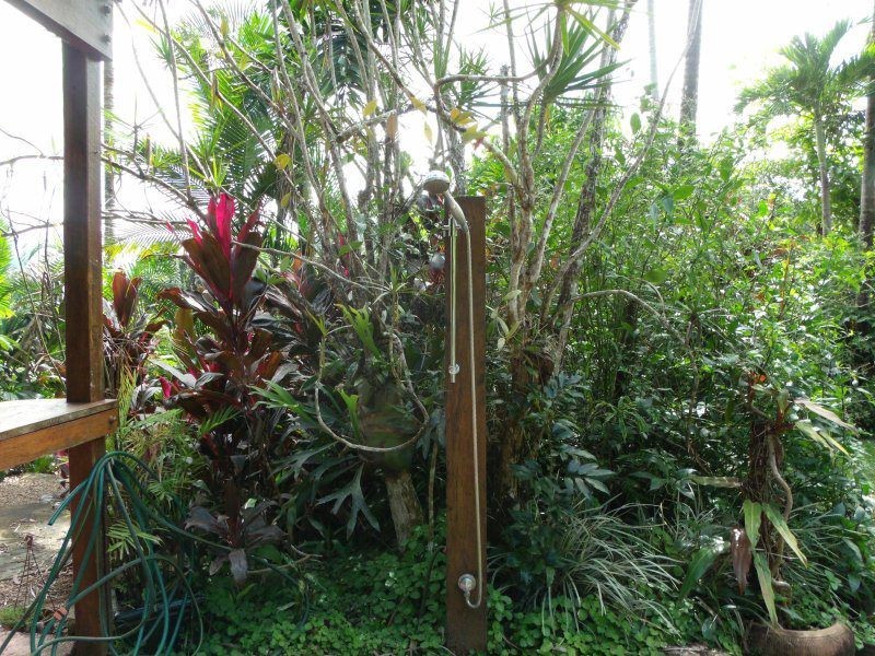 431 East Feluga Road, East Feluga QLD 4854