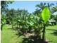 5 Kurrajong Close, Wongaling Beach QLD 4852